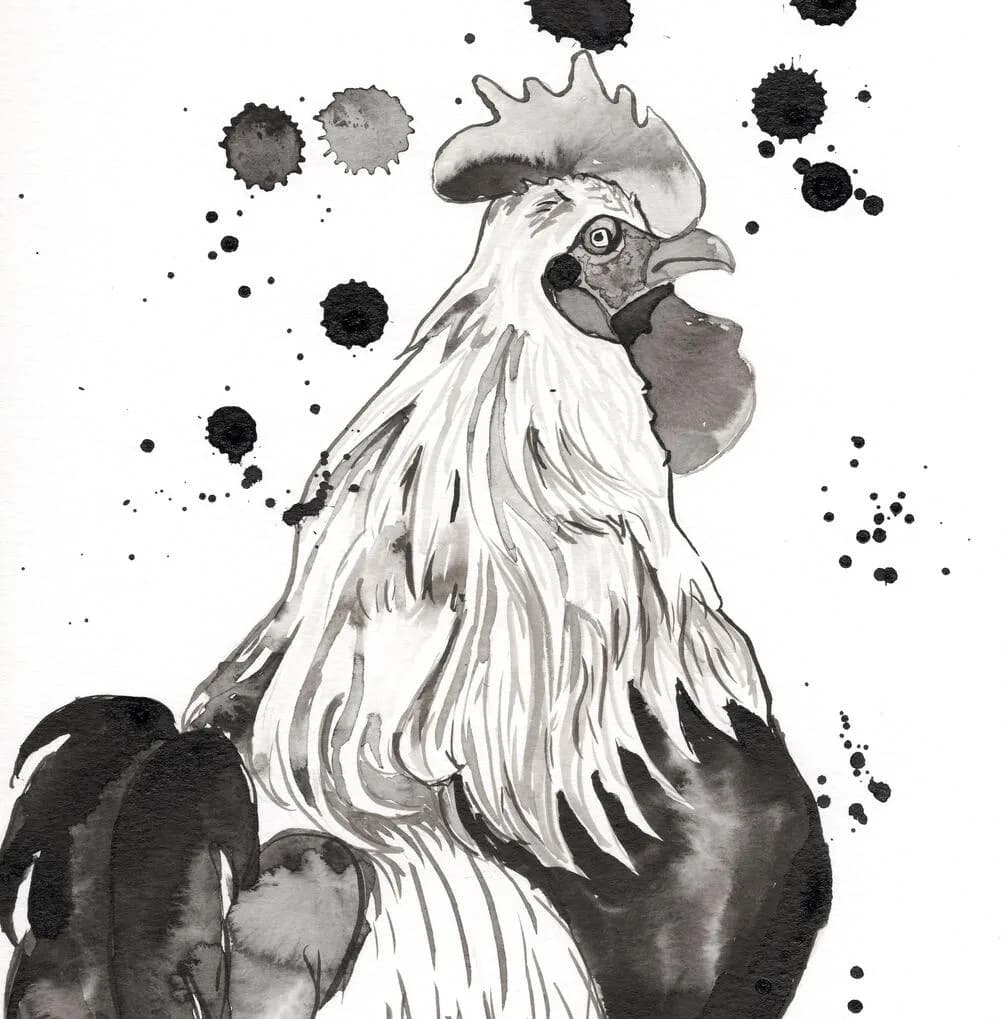 Teenage Rooster by Mariah McPherson