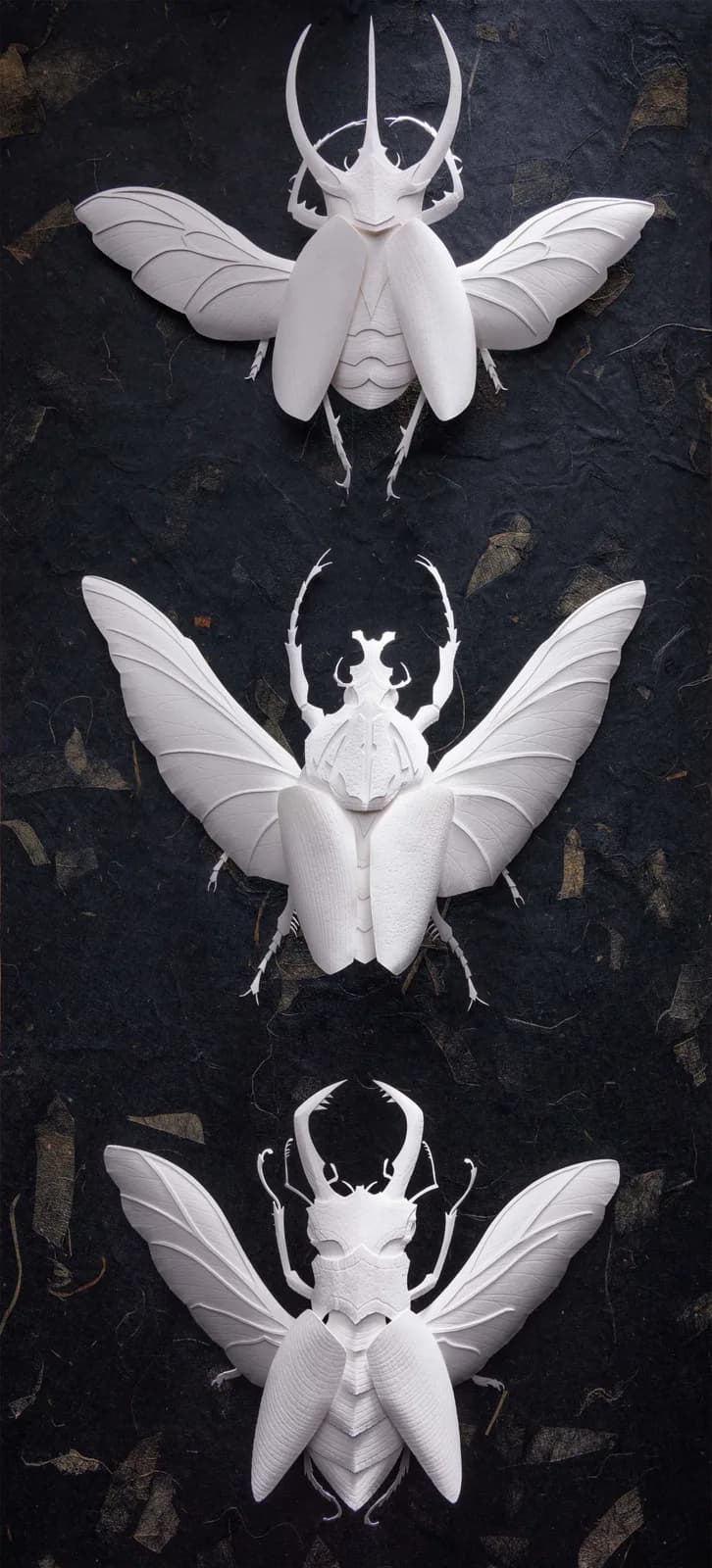 Untitled artwork by Marisa Ware