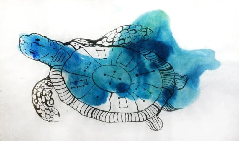 lo-river-turtle-3 by Marlow Brooks