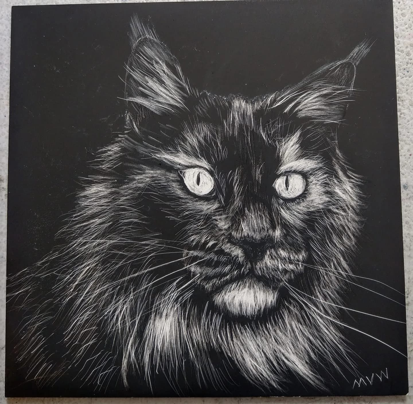 A detailed scratchboard illustration of a Maine Coon cat's face, rendered in shades of Masala and Shark against a black background.