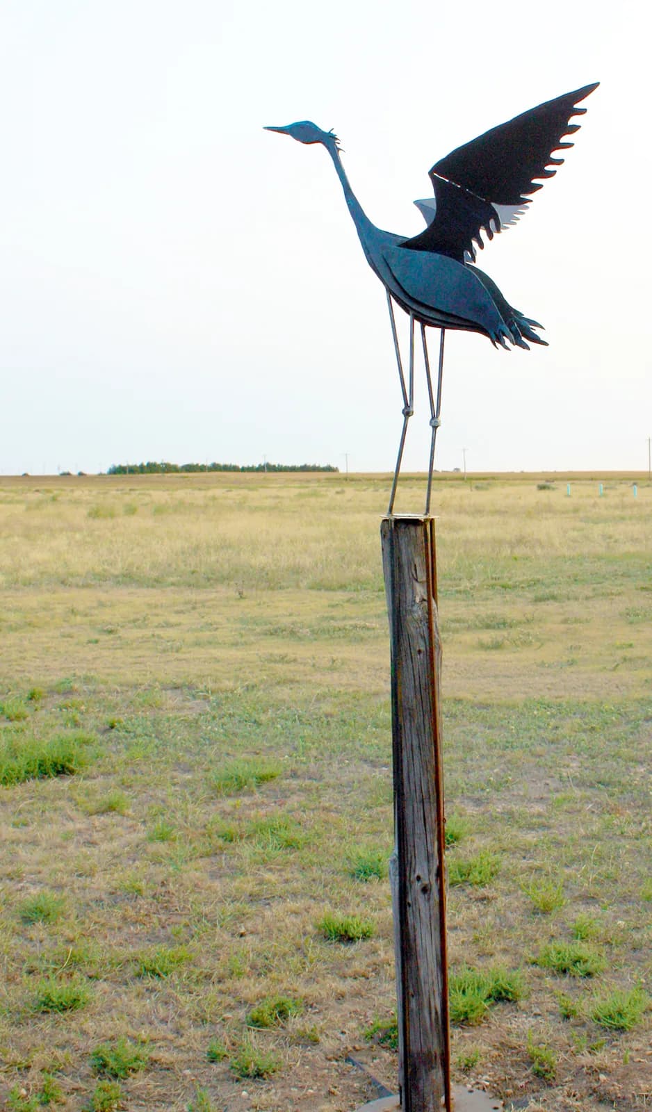 Blue Heron on the Prairie Sea_2 by Maureen Hearty