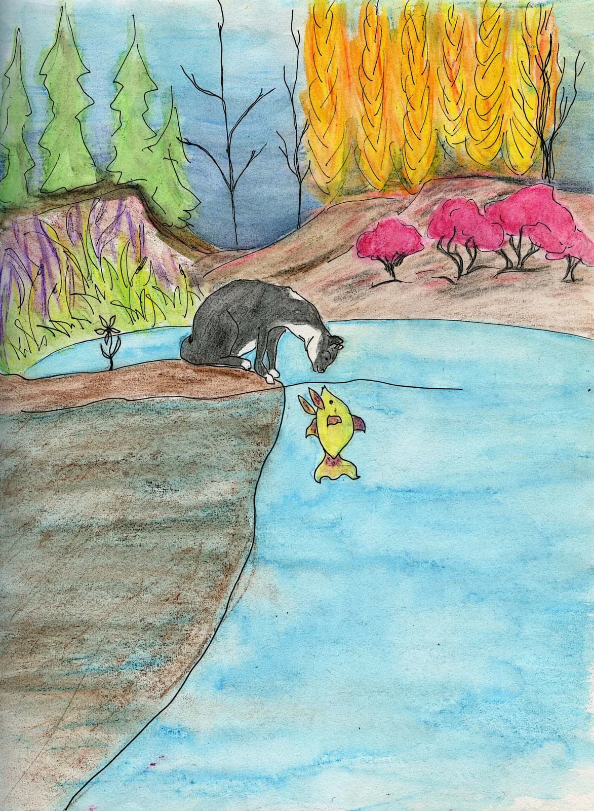 Illustrations by Maureen Hearty