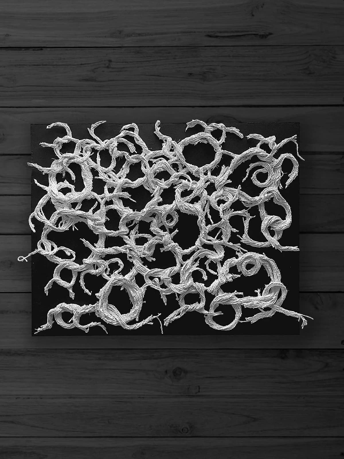 Untitled artwork by Megan Morgan