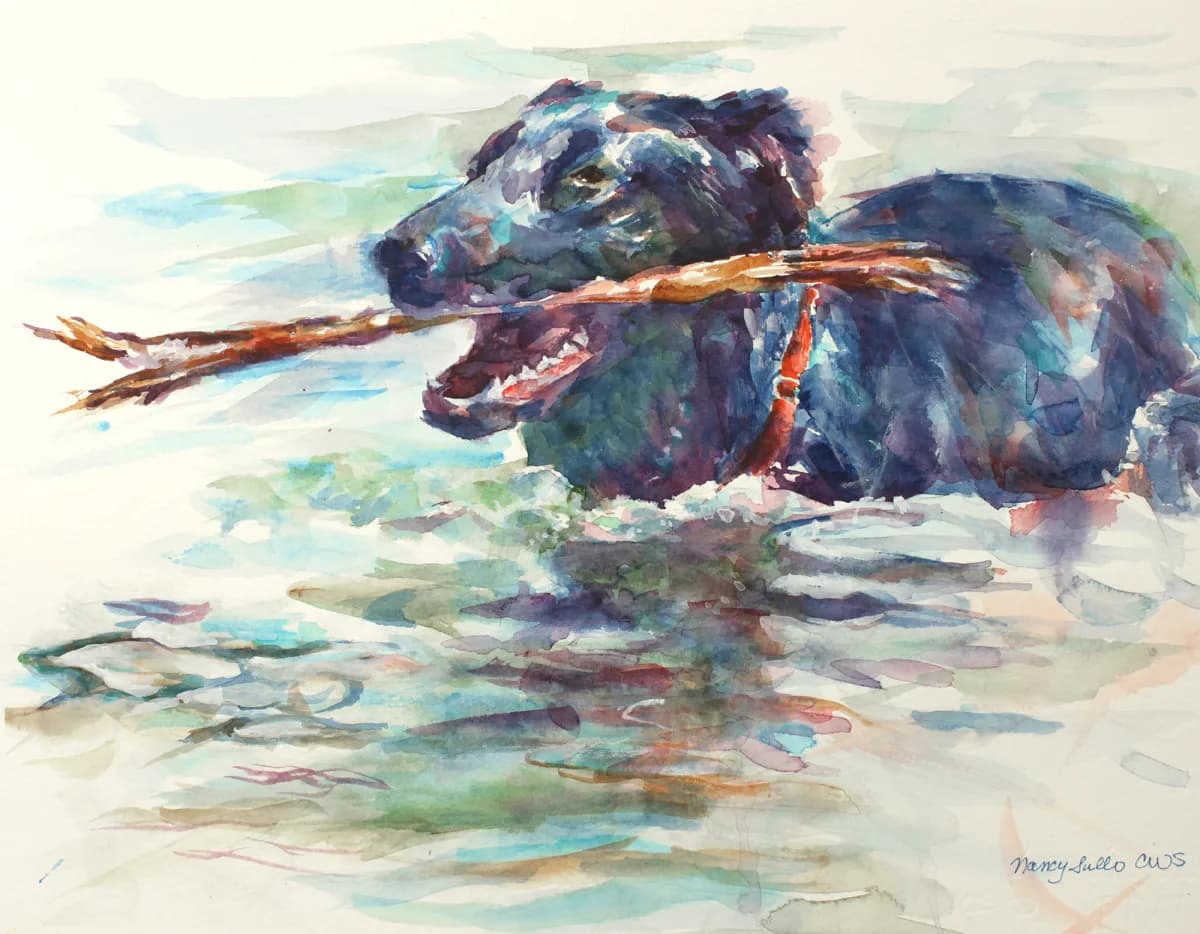 A black dog retrieves a stick from the water in this expressive watercolor painting.