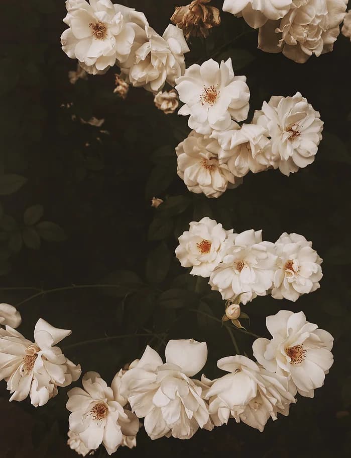 Untitled artwork by Natalie Pigliacampo