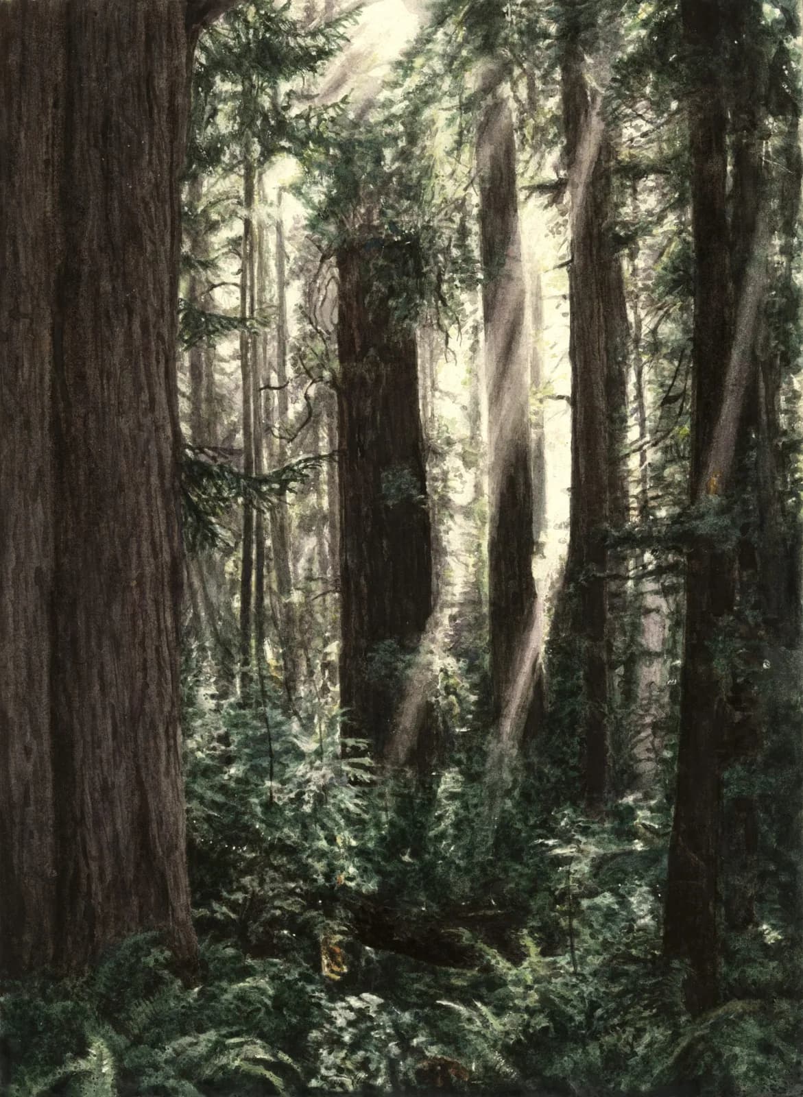 Work by Nathan Hutchinson