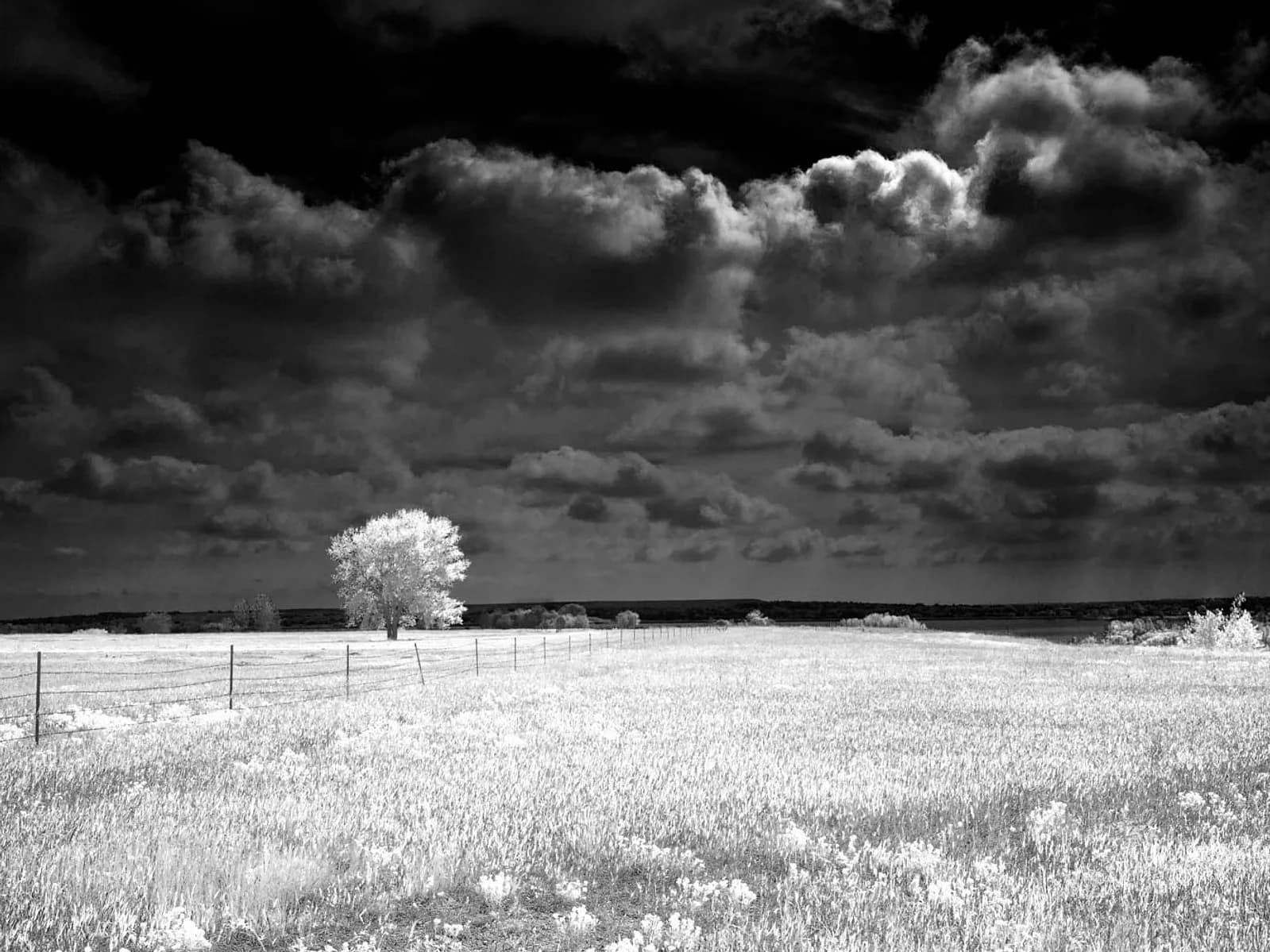 Untitled artwork by Neal Pierman