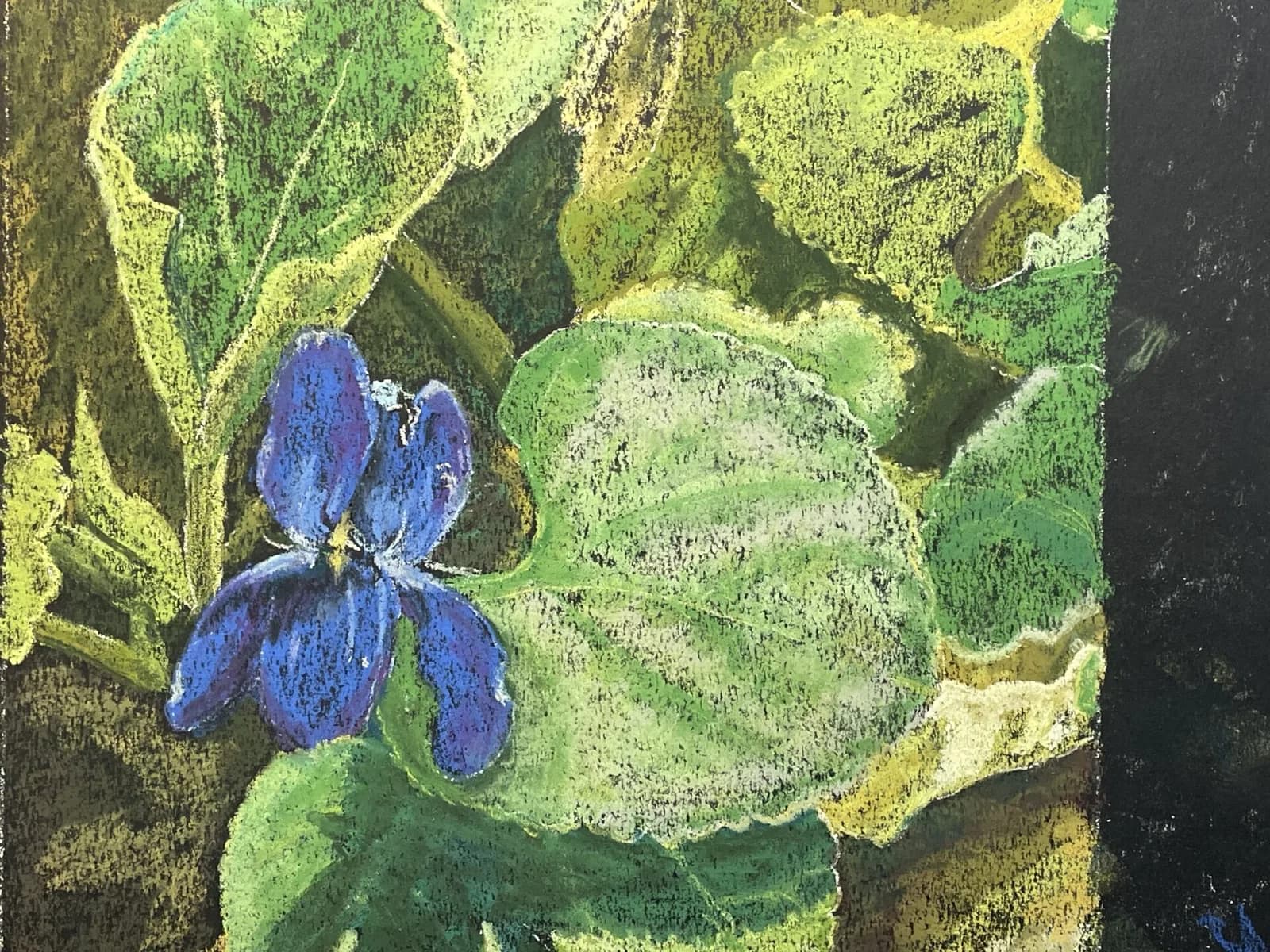 Featured artwork by Pastel Society of Colorado
