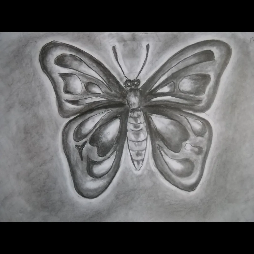 A charcoal drawing of a butterfly with detailed wings and body, rendered in shades of gray.