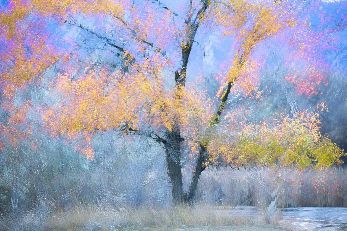 Untitled artwork by Rio Montero