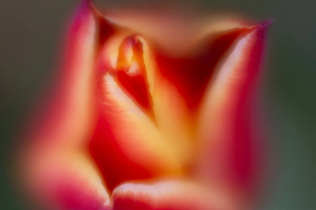 Untitled artwork by Rio Montero