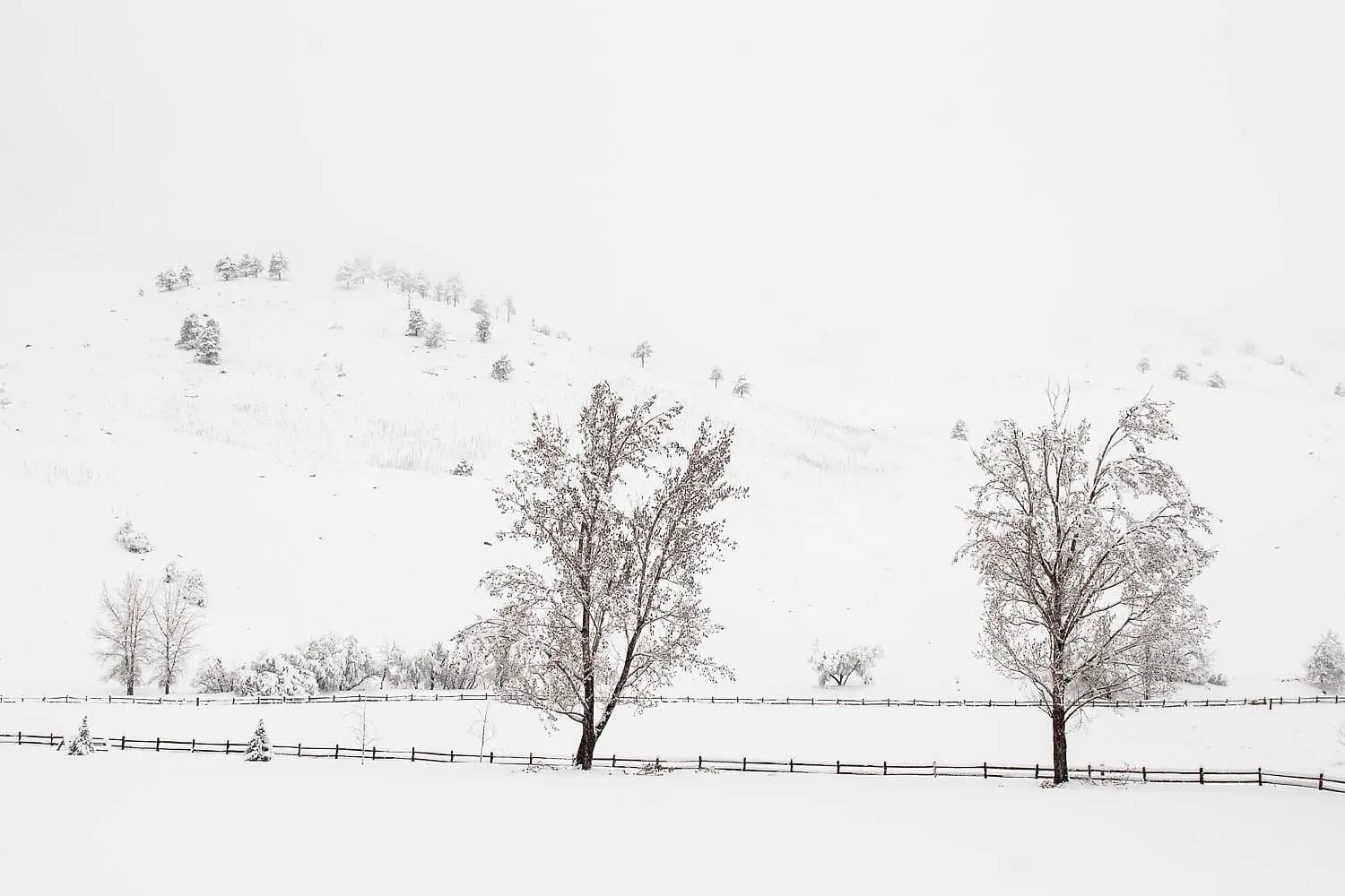 A winter landscape photograph captures snow-covered trees and hills under a bright, overcast sky.