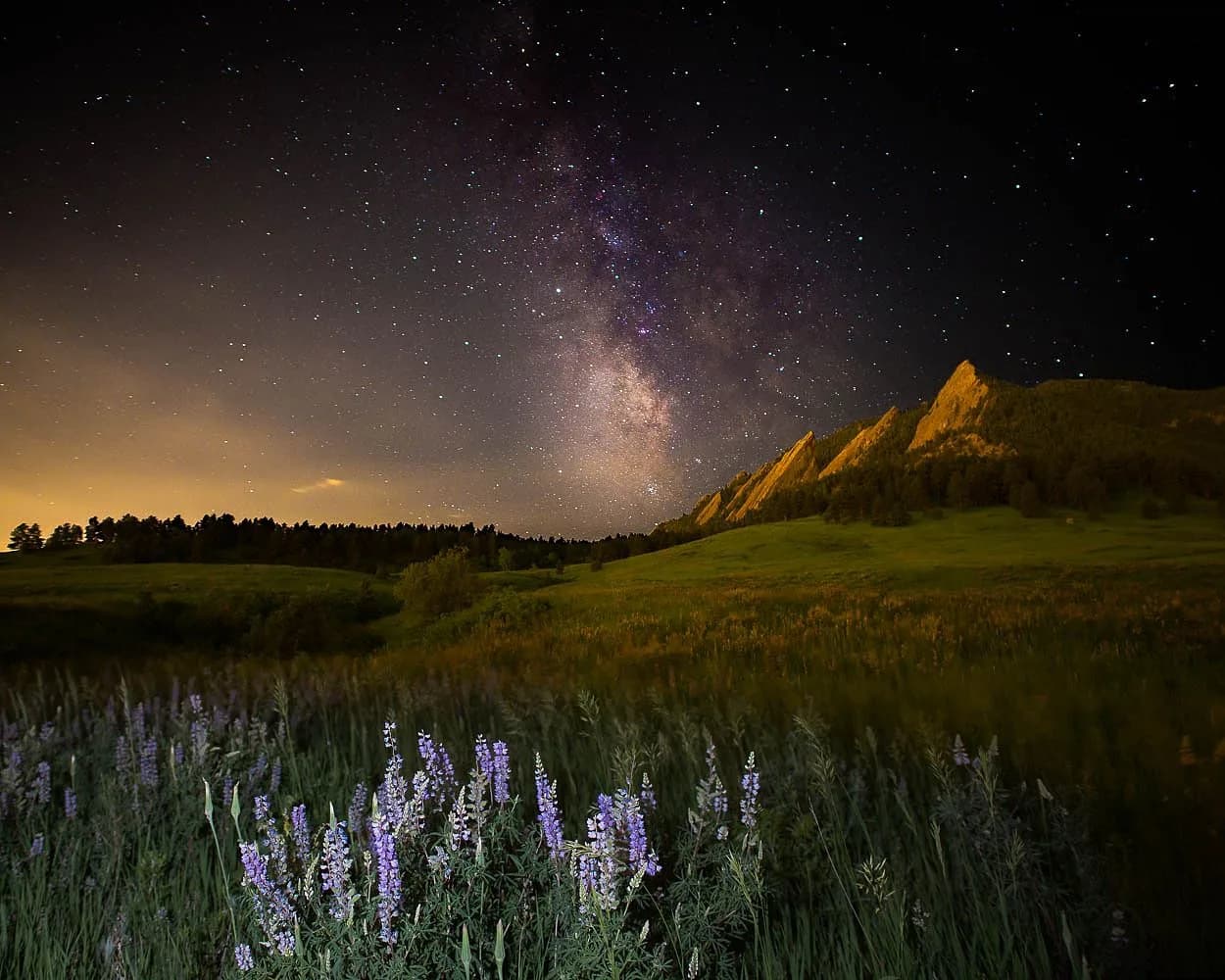 A night landscape photograph captures the Milky Way over the Flatirons with lupine flowers in the foreground.