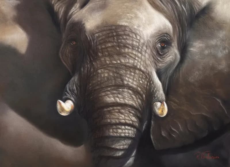 Untitled artwork by Rosana Venturini