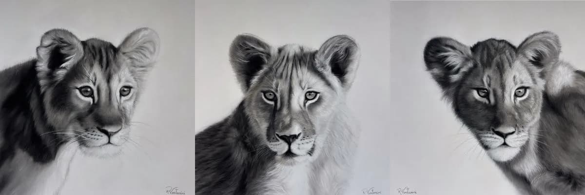 Untitled artwork by Rosana Venturini