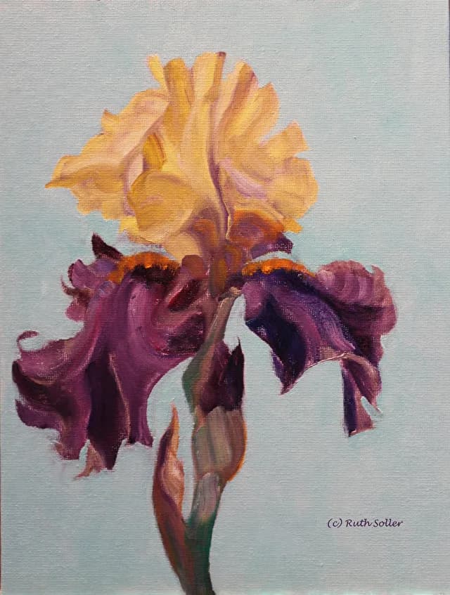 Featured artwork by Ruth Soller