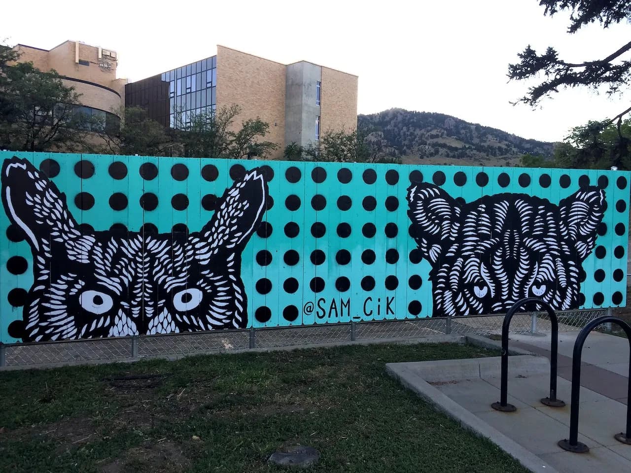 Untitled artwork by Sam Cikauskas
