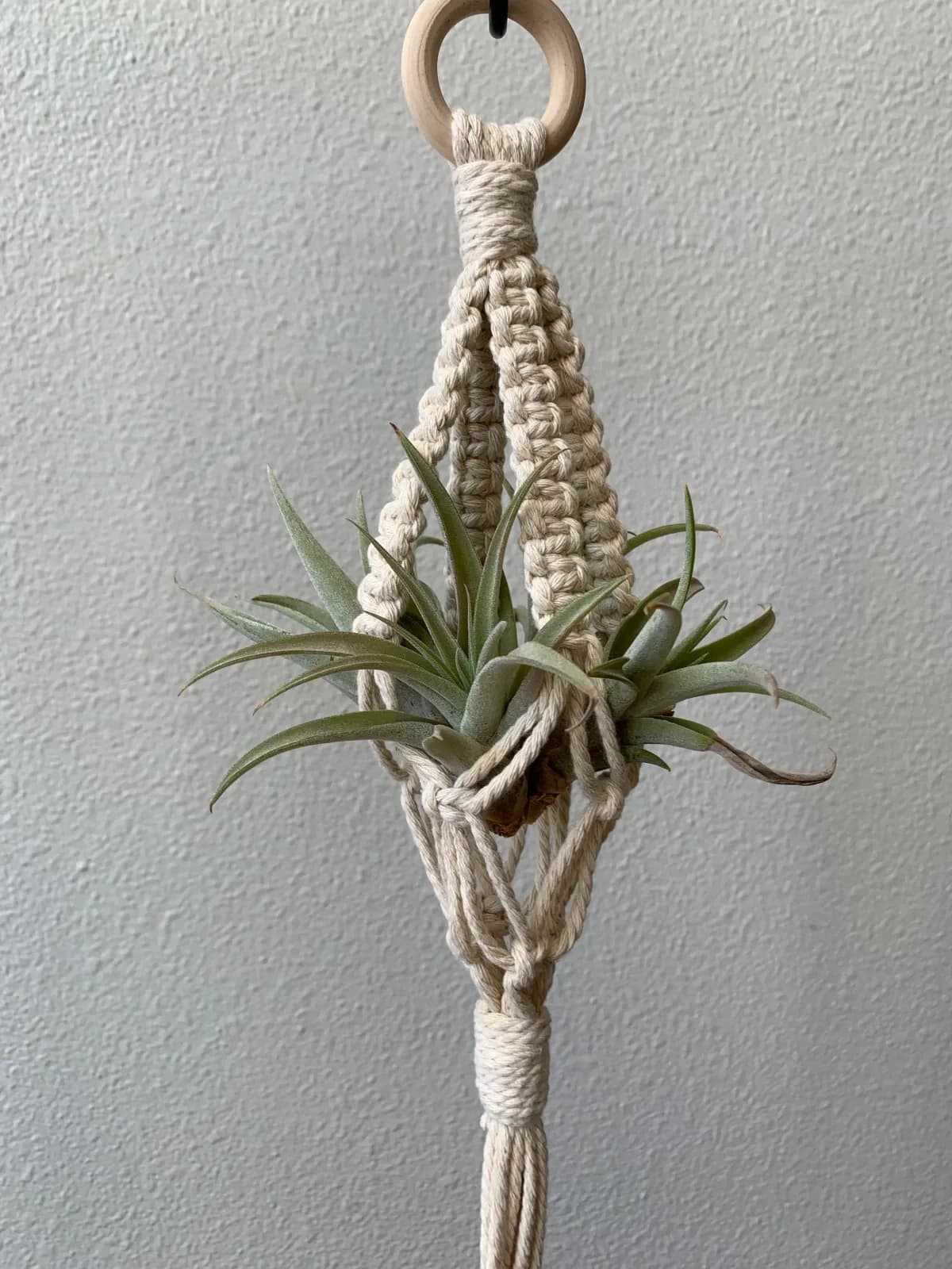 Mini Natural Square Macrame Plant Holder by Sara Pike