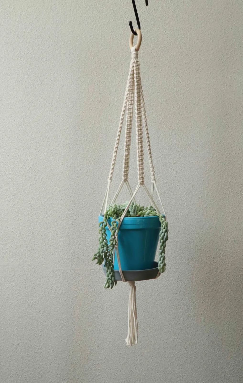 Untitled artwork by Sara Pike