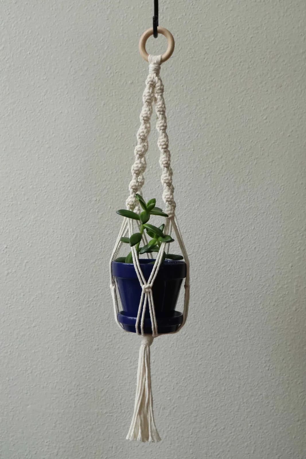 Natural Spiral Macrame Plant Holder by Sara Pike