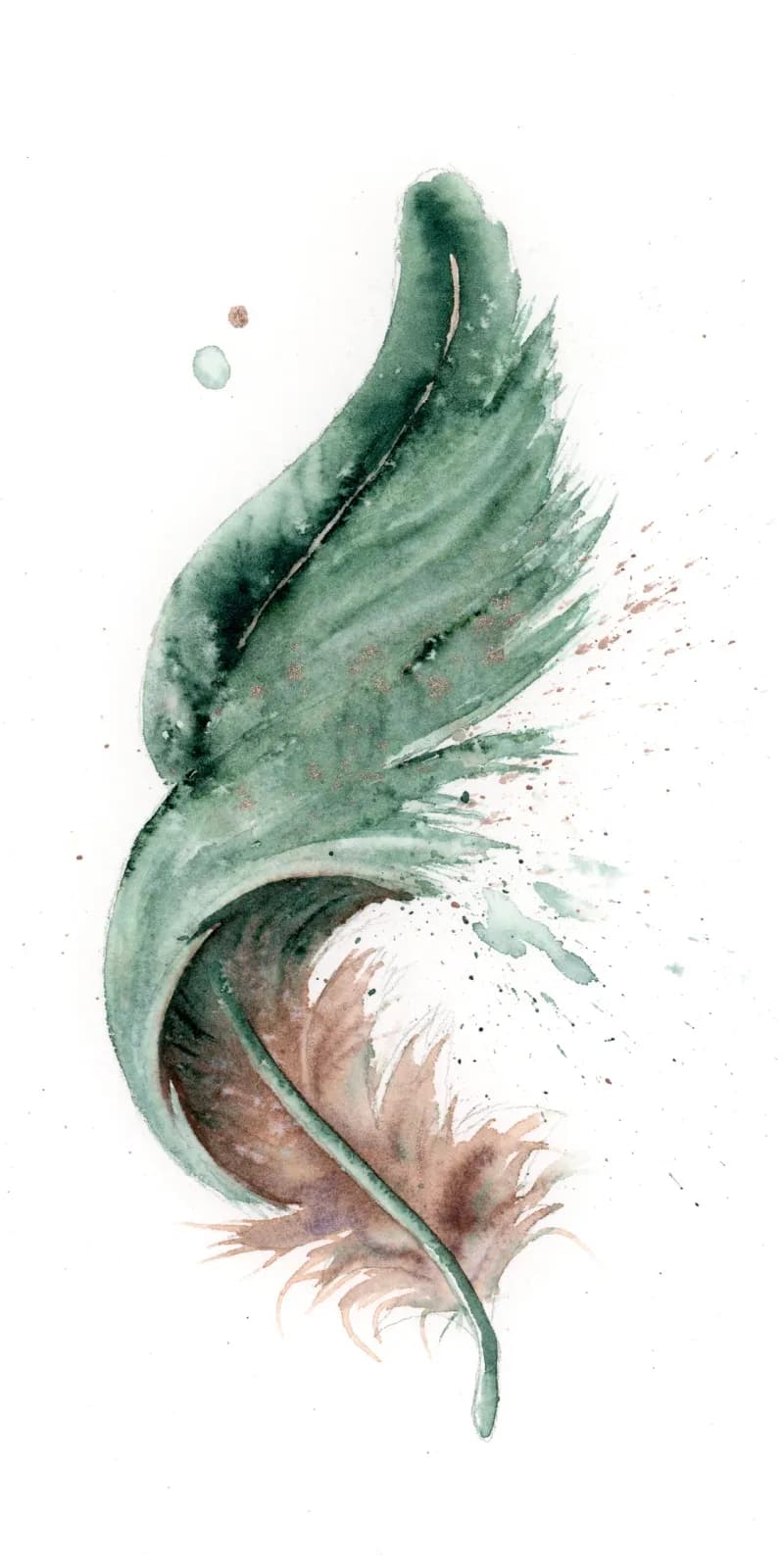 Peacock – watercolor feather painting by Shayna Larsen. by Shayna Larsen