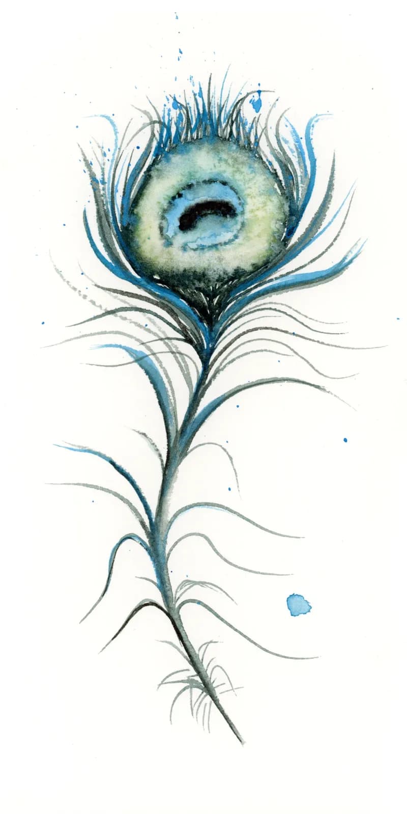 Peacock – watercolor feather painting by Shayna Larsen. by Shayna Larsen