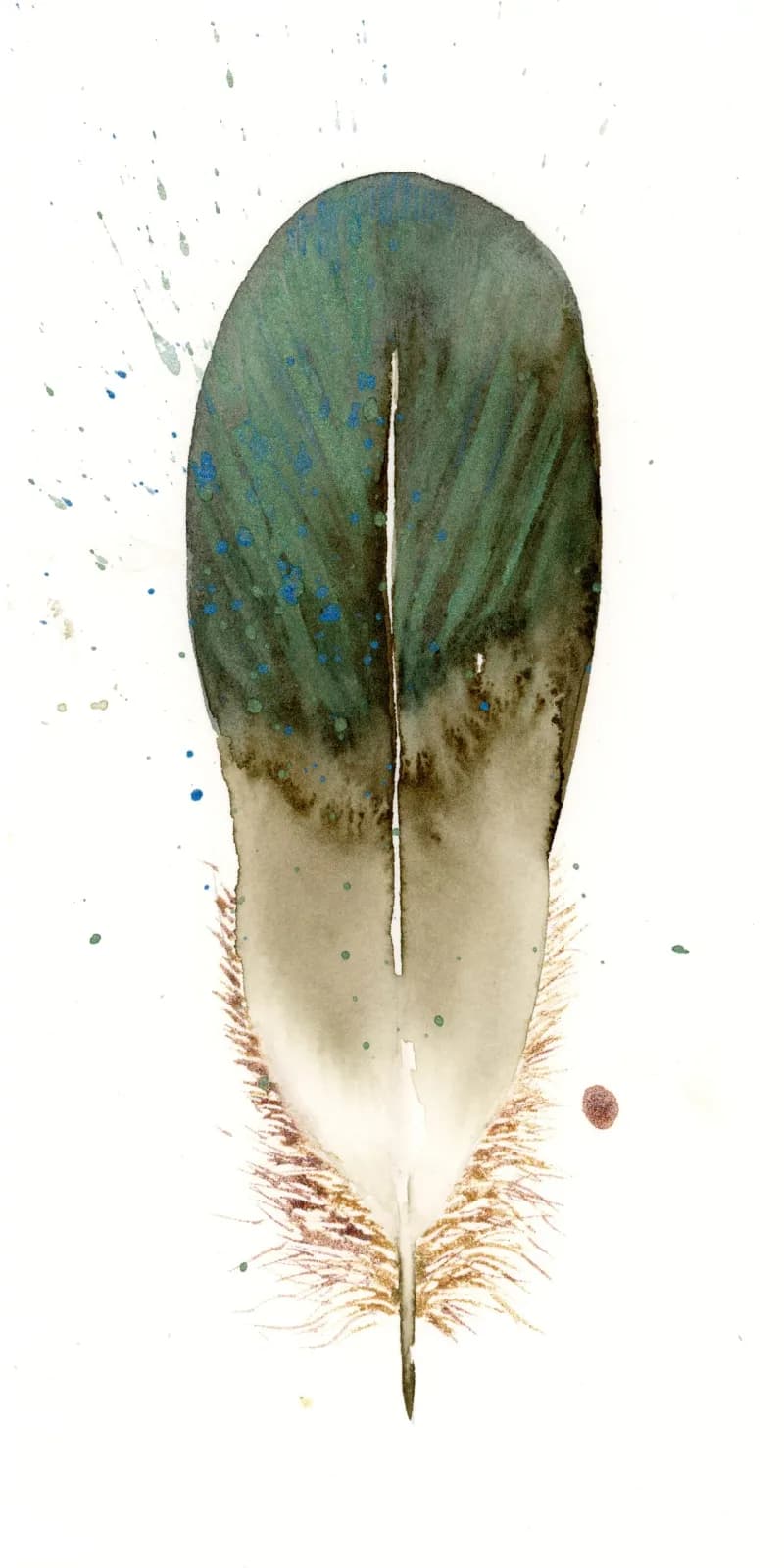 Duck – watercolor feather painting by Shayna Larsen. by Shayna Larsen