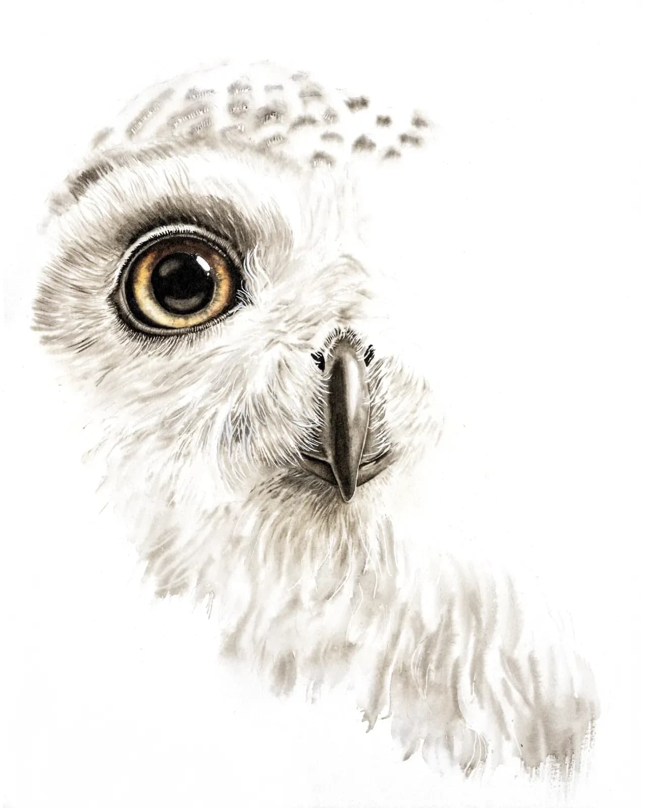 Untitled artwork by Shayna Larsen