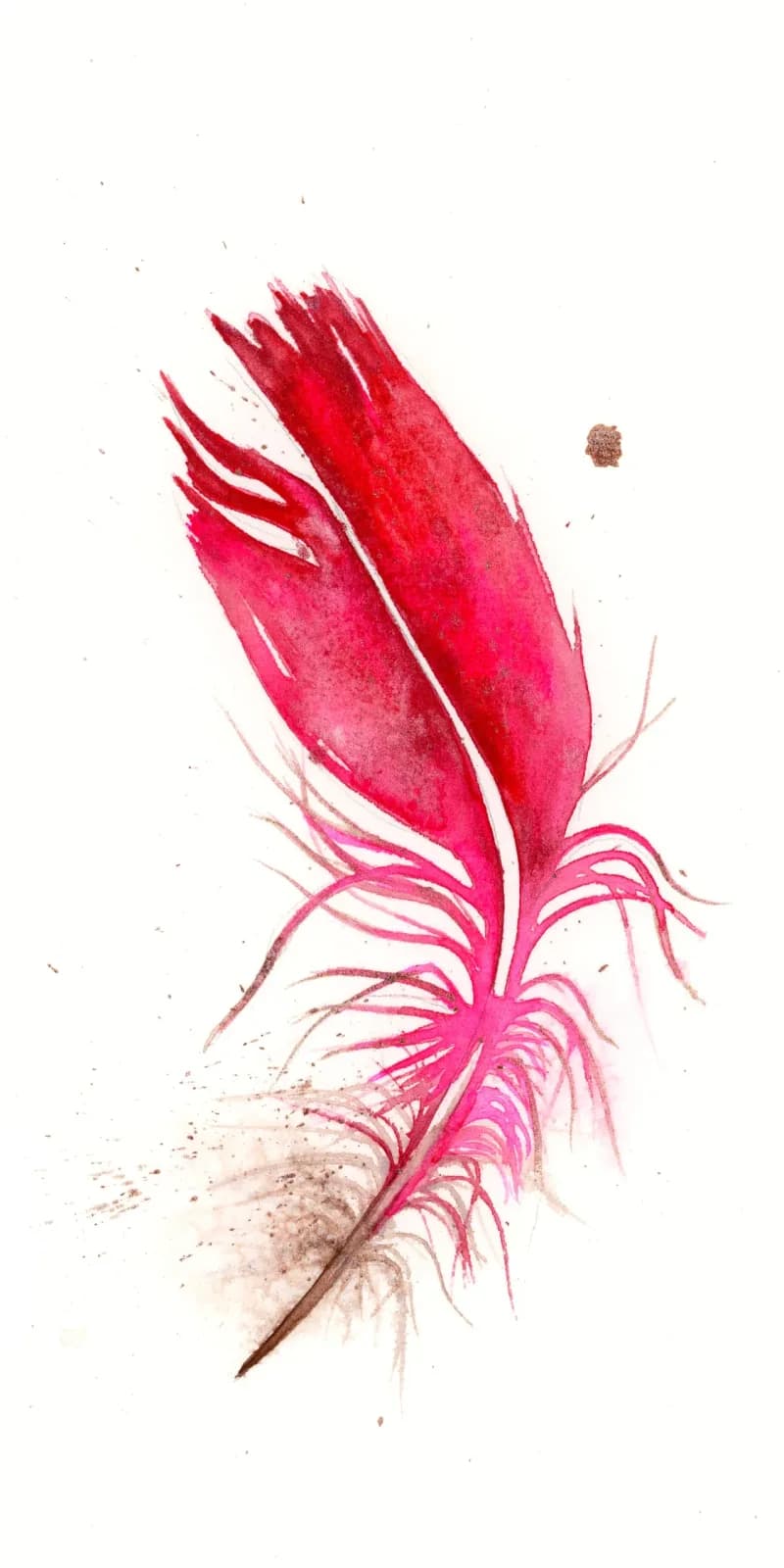 Cardinal – watercolor feather painting by Shayna Larsen. by Shayna Larsen