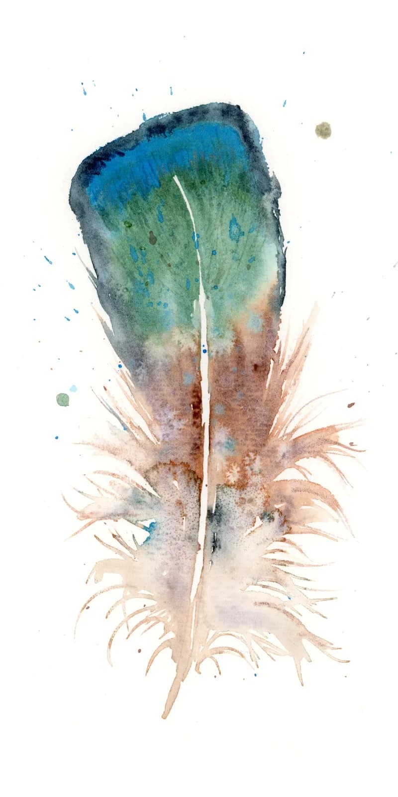 Duck – watercolor feather painting by Shayna Larsen. by Shayna Larsen