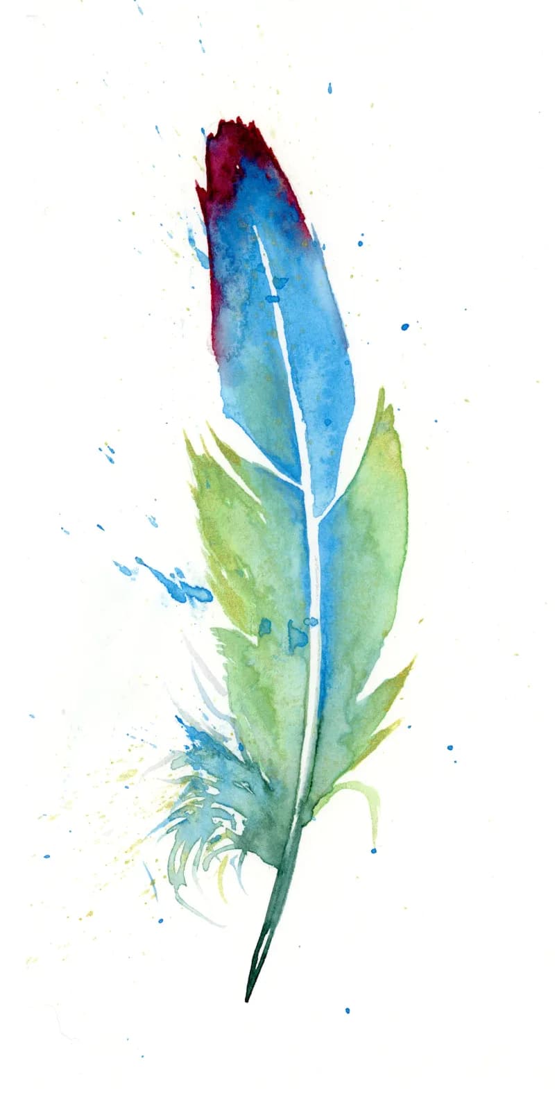 Turaco – watercolor feather painting by Shayna Larsen. by Shayna Larsen