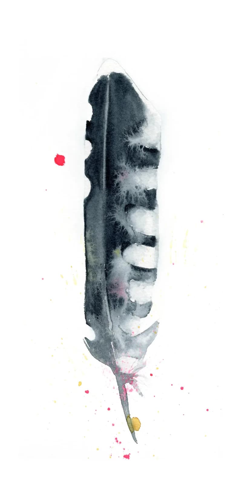 Magpie – watercolor feather painting by Shayna Larsen. by Shayna Larsen