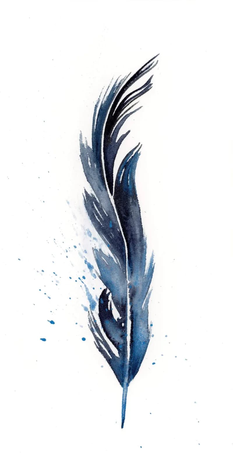 Unknown – watercolor feather painting by Shayna Larsen. by Shayna Larsen