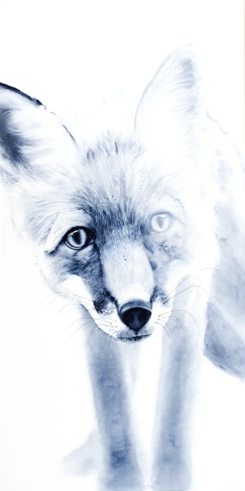 Untitled artwork by Shayna Larsen