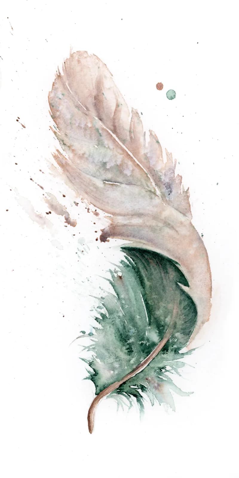 Duck – watercolor feather painting by Shayna Larsen. by Shayna Larsen