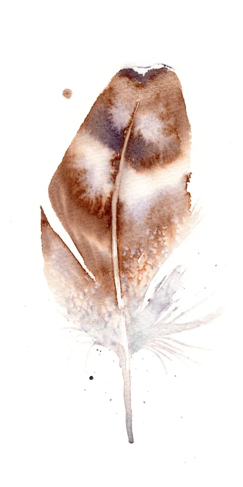 Owl - Feather #24 by Shayna Larsen