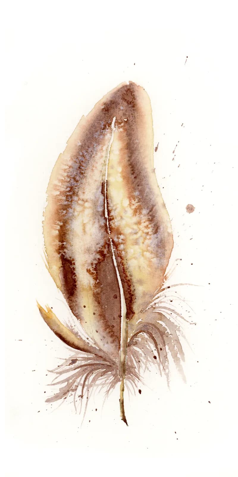Spoonbill – watercolor feather painting by Shayna Larsen. by Shayna Larsen