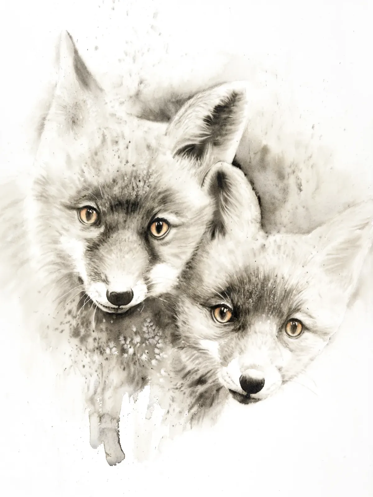 Curious by Shayna Larsen