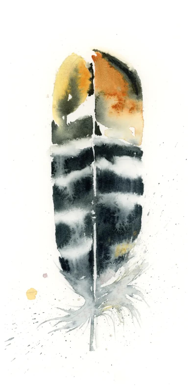 Pheasant – watercolor feather painting by Shayna Larsen. by Shayna Larsen