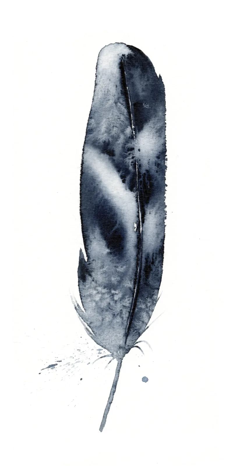 Hawk – watercolor feather painting by Shayna Larsen. by Shayna Larsen