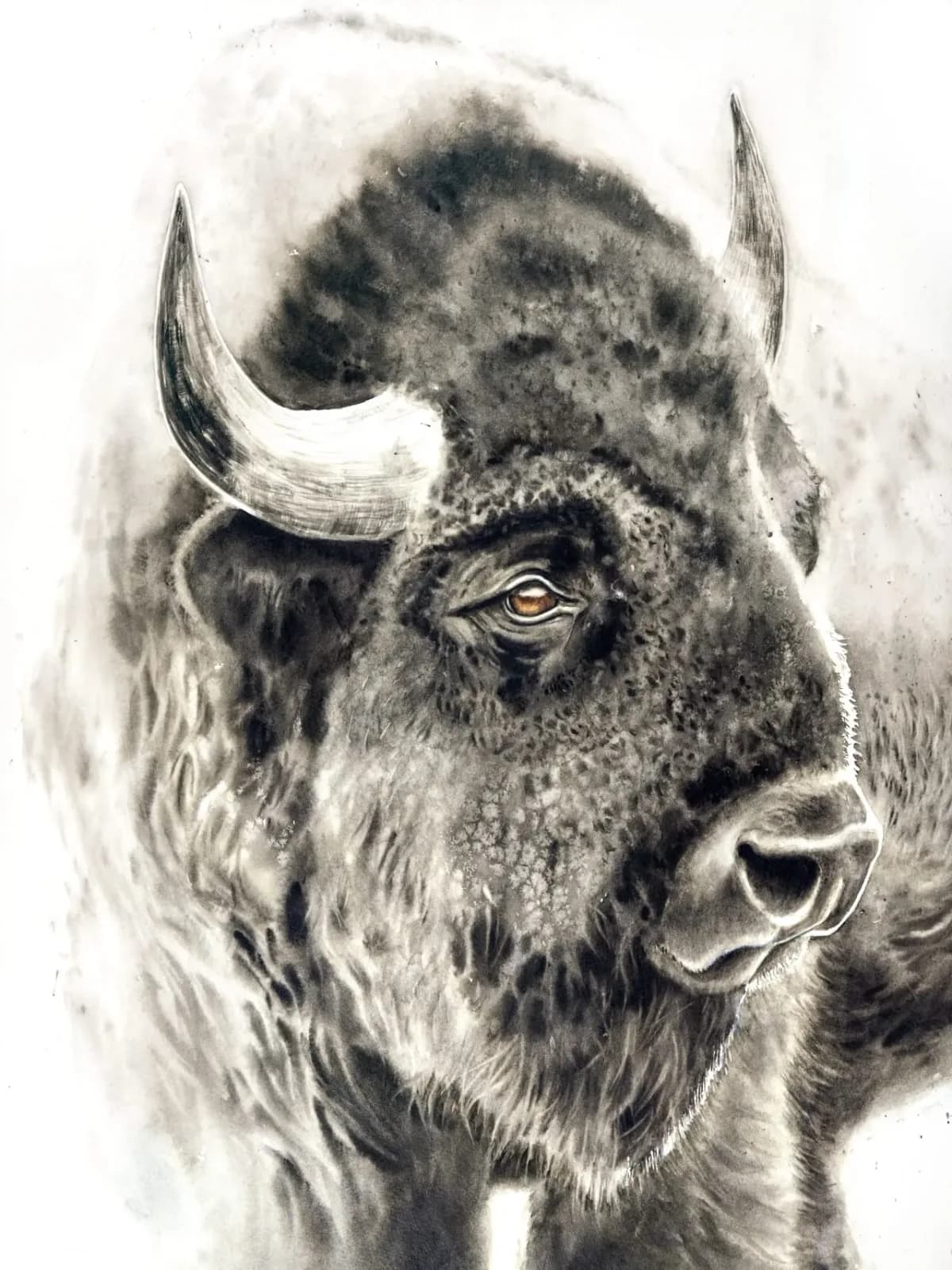 Work by Shayna Larsen