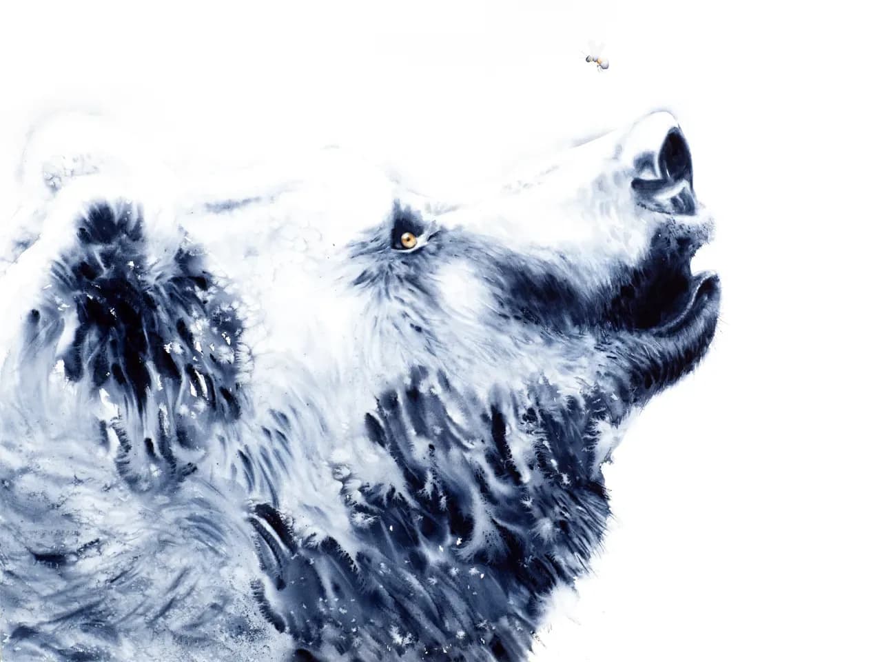 A watercolor painting of a bear looking up at a bee, rendered in shades of Fiord and Rock Blue.