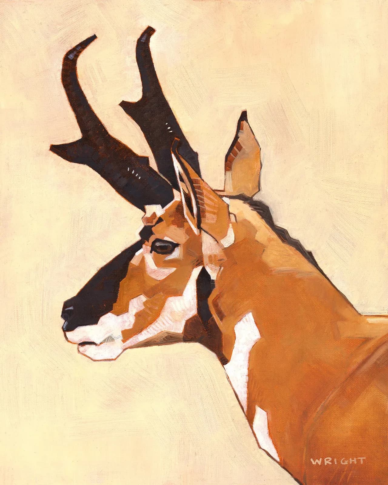 Untitled artwork by Stephen Wright