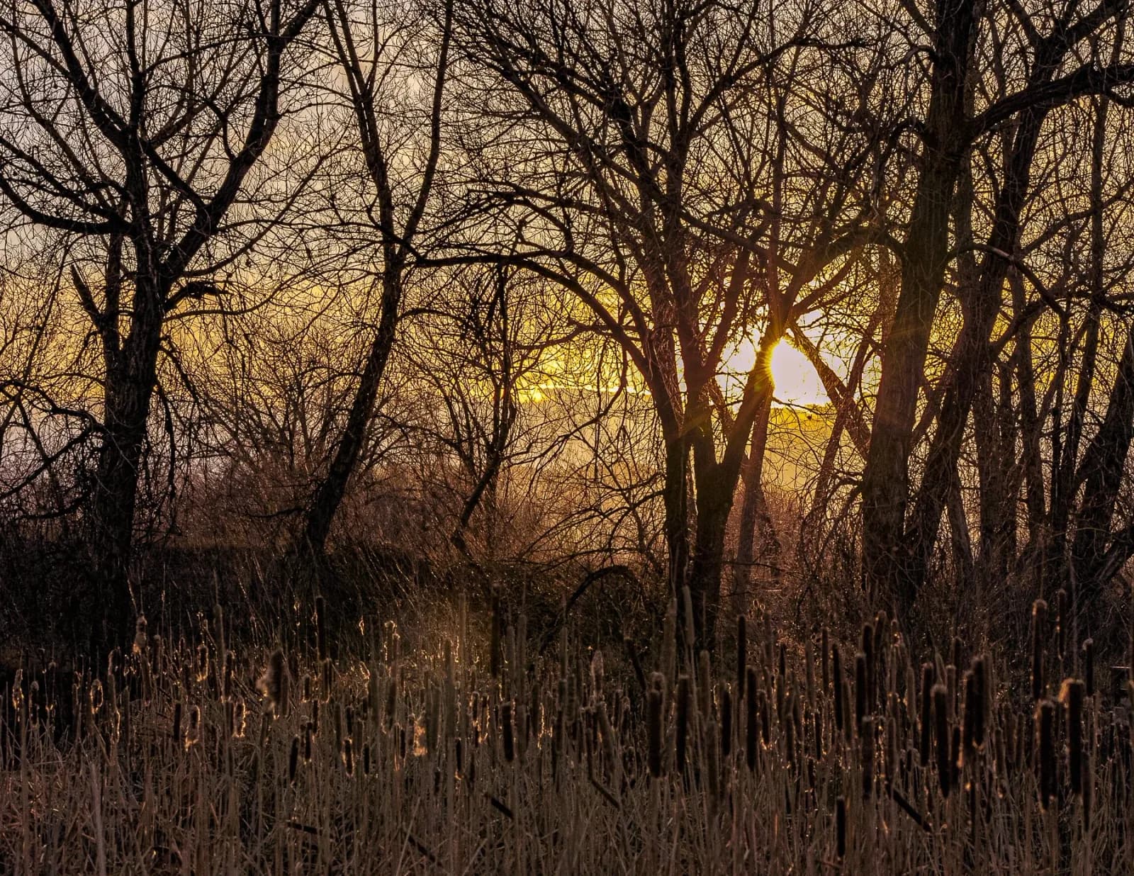 Untitled artwork by Steve O’Bryan
