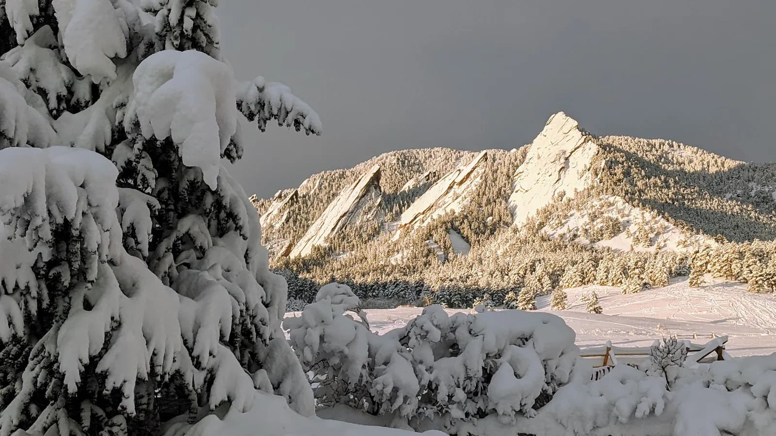 A snow-covered landscape featuring the Flatirons mountains under a gray sky, with snow-laden trees in the foreground.