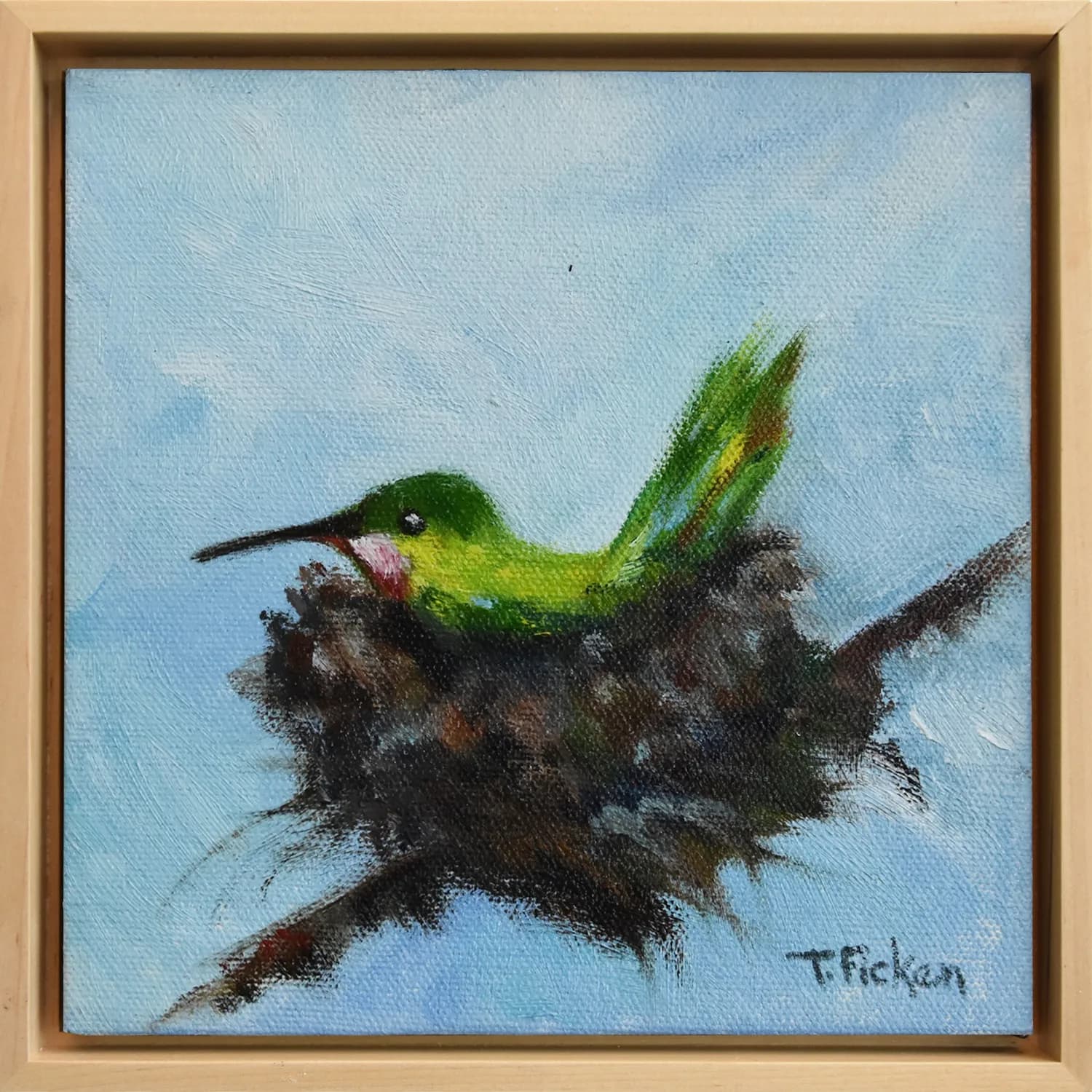 Photo of Hummer on Nest by Teri Ficken