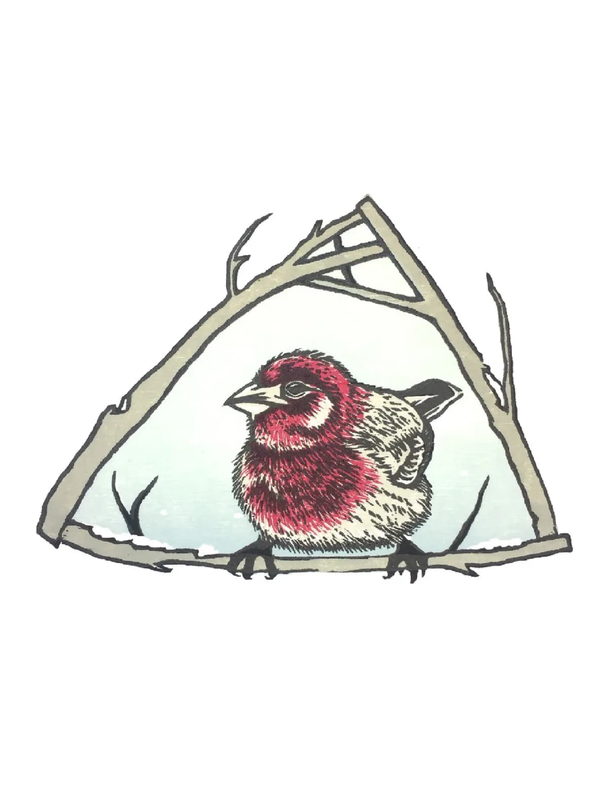 finch_3 by Theresa Haberkorn