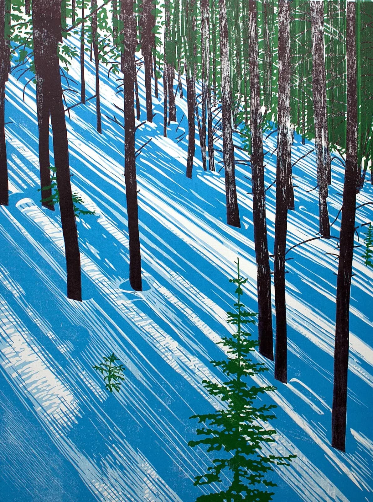 A printmaking landscape depicts a snow-covered forest with long, dramatic shadows cast by tall trees.