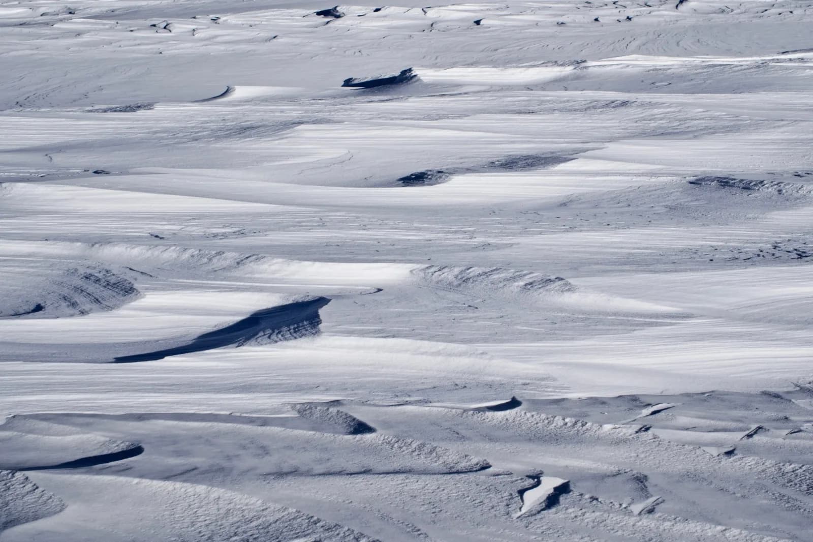 Abstract photograph of wind-swept snow drifts in shades of blue and gray.