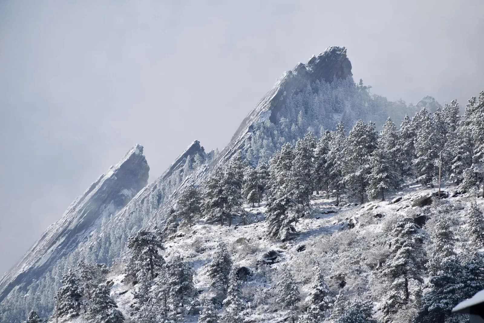 A winter landscape photograph captures the snow-covered Flatirons with pine trees under a hazy sky.